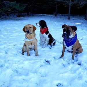 Meet your Posher, Janice